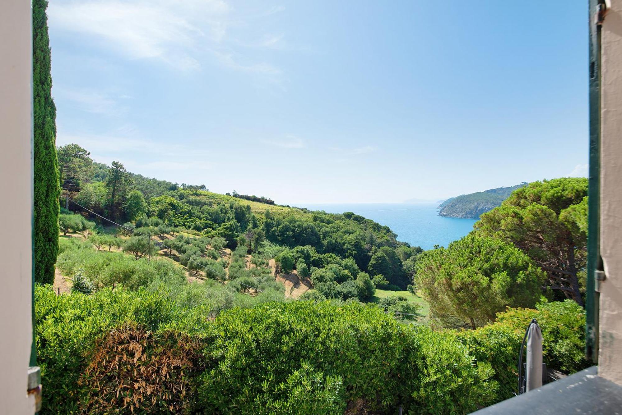 Mesco Levanto